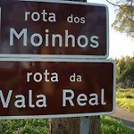 Forest Terrace De Mira