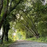 Forest Terrace De Mira 公寓