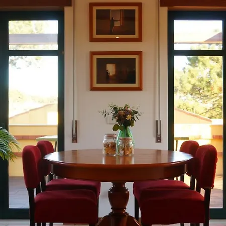 公寓 Forest Terrace De Mira 普拉亚德米拉