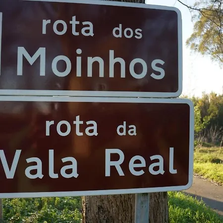 Forest Terrace-praia De Mira By Vadiar Turismo