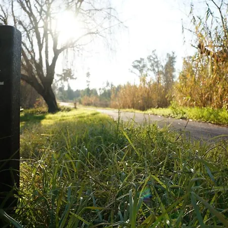 Appartement Forest Terrace De Mira *