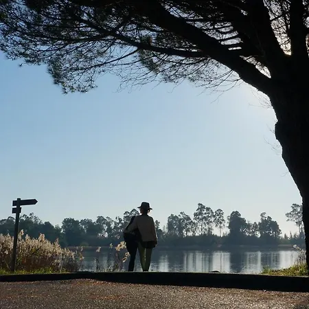 Forest Terrace De Mira *