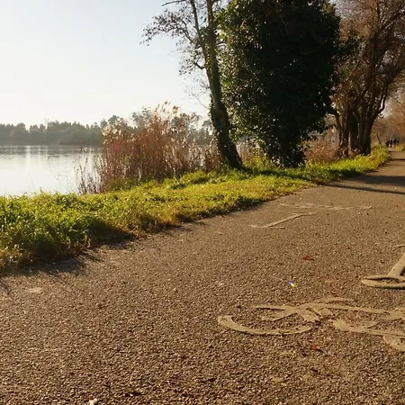 Forest Terrace De Mira Praia de Mira