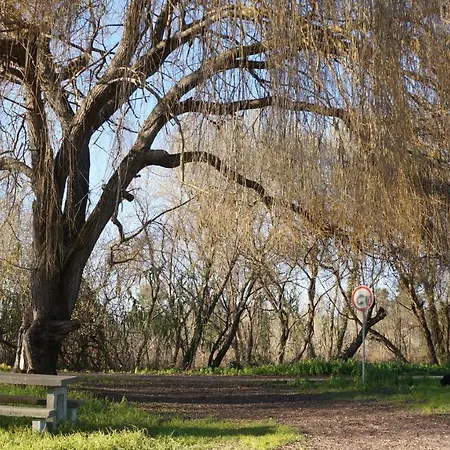 Forest Terrace De Mira Praia de Mira
