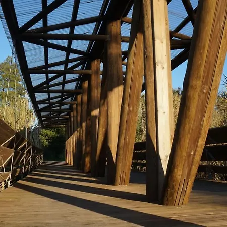 Forest Terrace De Mira