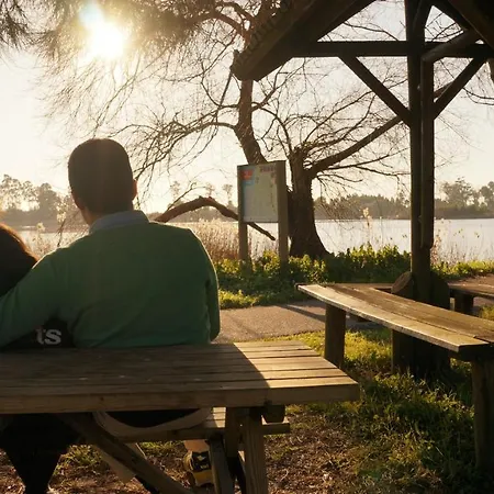 Apartman Forest Terrace De Mira *