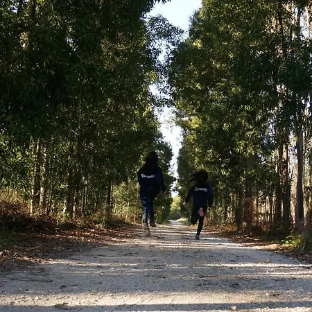 Apartman Forest Terrace De Mira Praia de Mira