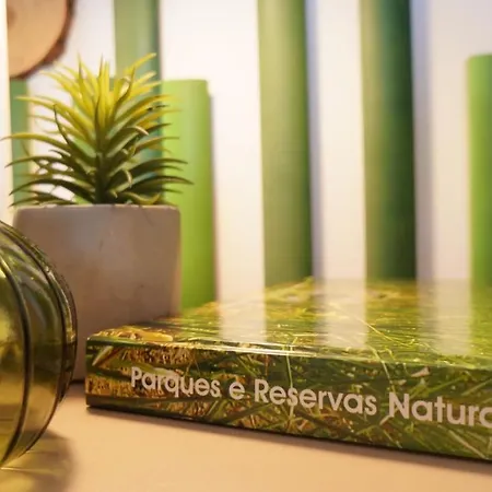 Forest Terrace De Mira Apartment