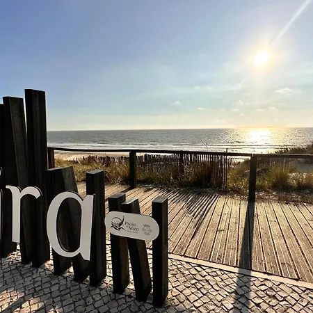 Forest Terrace De Mira