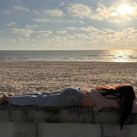 Forest Terrace De Mira *