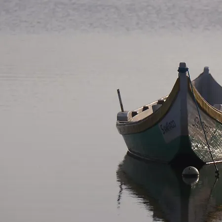 Forest Terrace De Mira Apartman Praia de Mira