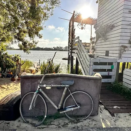 Forest Terrace De Mira