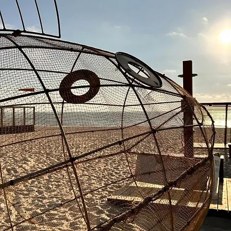 Forest Terrace De Mira * Praia de Mira