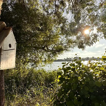 Apartman Forest Terrace De Mira