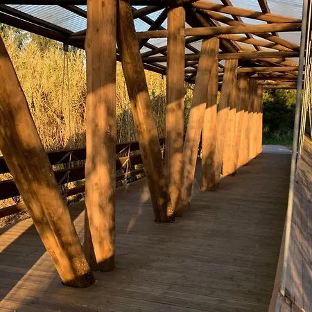 Appartement Forest Terrace De Mira *