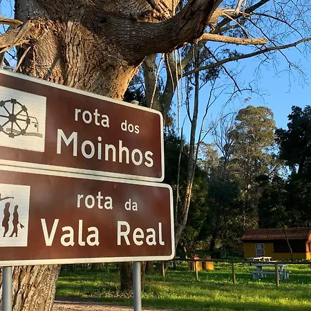 Daire Forest Terrace De Mira Praia de Mira