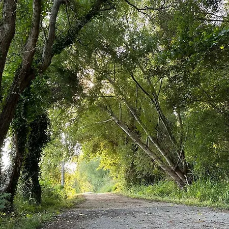 Forest Terrace De Mira 公寓