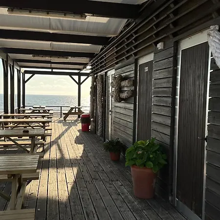 Forest Terrace-Praia De Mira By Vadiar Turismo