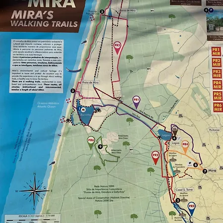 Daire Forest Terrace De Mira Praia de Mira