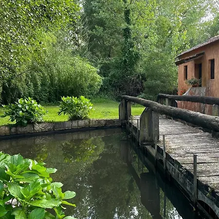 Forest Terrace De Mira Appartement *