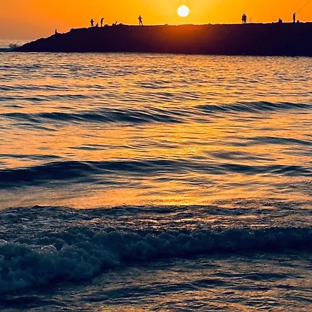 Appartement Forest Terrace De Mira *