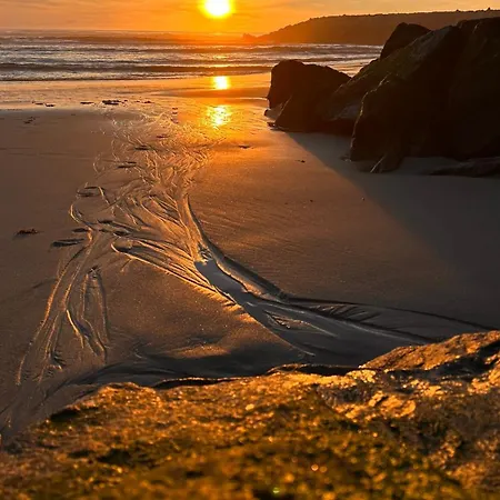 公寓 Forest Terrace De Mira 普拉亚德米拉