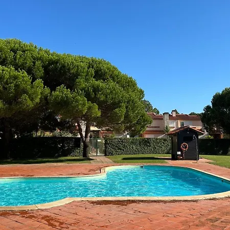 Appartement Forest Terrace-praia De Mira By Vadiar Turismo