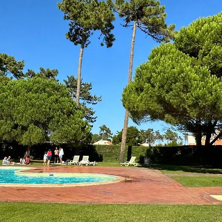Forest Terrace-Praia De Mira By Vadiar Turismo * 普拉亚德米拉