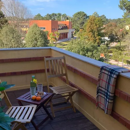 Forest Terrace-praia De Mira By Vadiar Turismo Apartment *