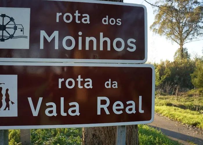 Forest Terrace De Mira