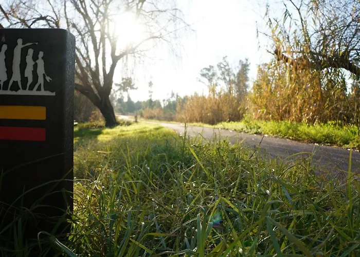 דירה Forest Terrace De Mira *