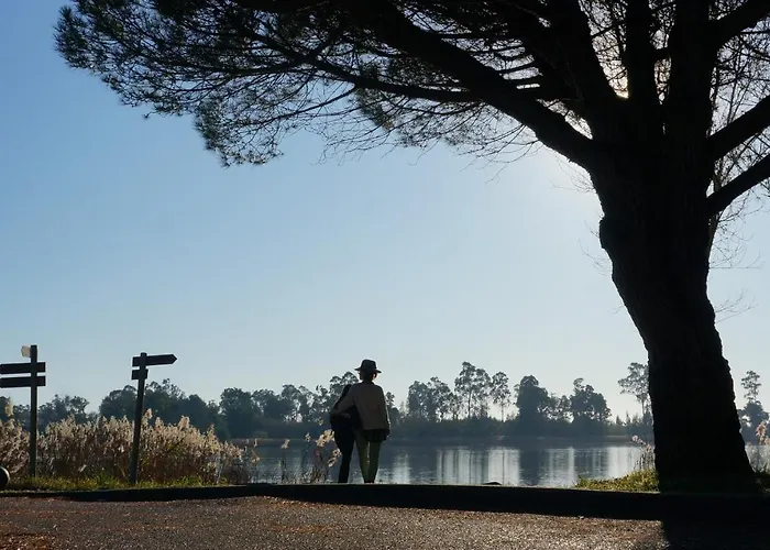 Forest Terrace De Mira *