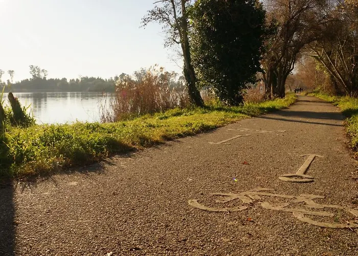 Forest Terrace De Mira פראיה דה מירה