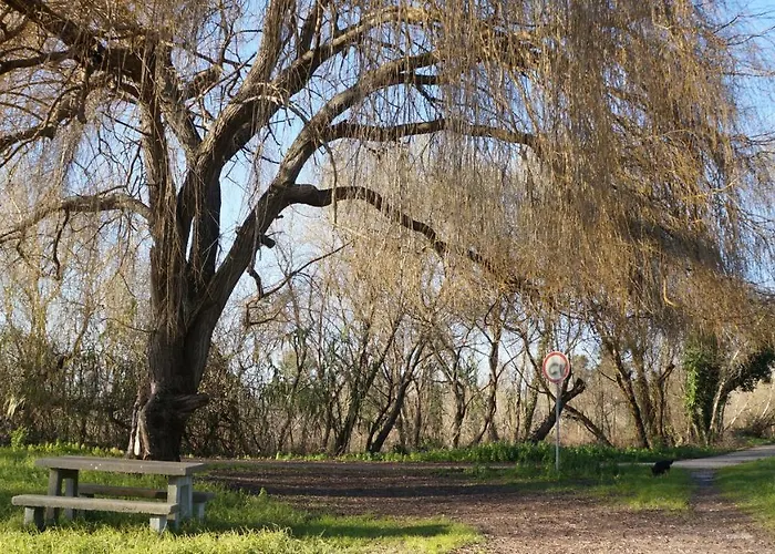 Forest Terrace De Mira פראיה דה מירה