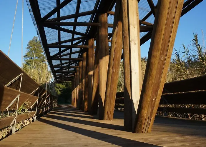 Forest Terrace De Mira