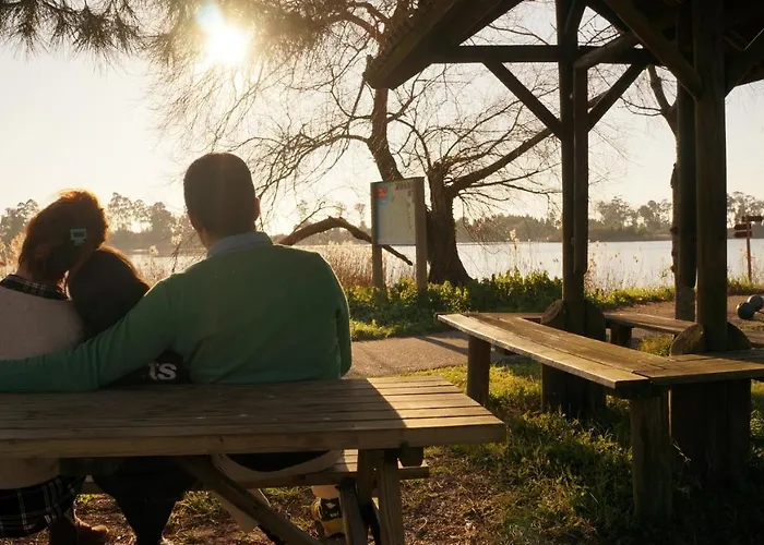 דירה Forest Terrace De Mira *