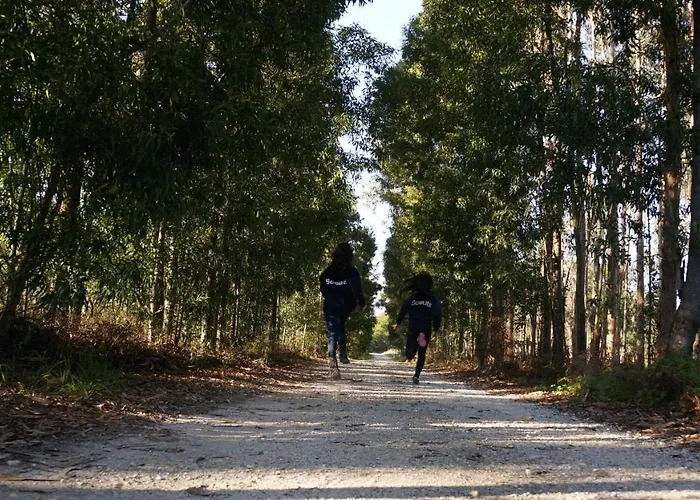 דירה Forest Terrace De Mira פראיה דה מירה