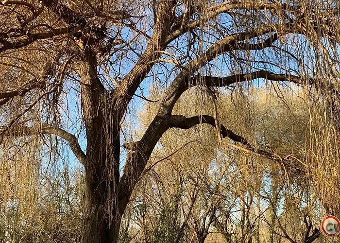 Forest Terrace De Mira דירה *