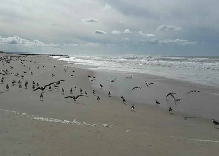 דירה Forest Terrace De Mira