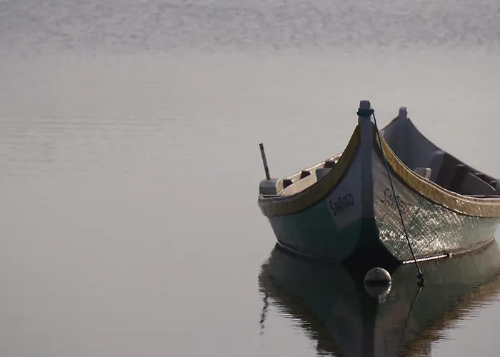 Forest Terrace De Mira דירה פראיה דה מירה