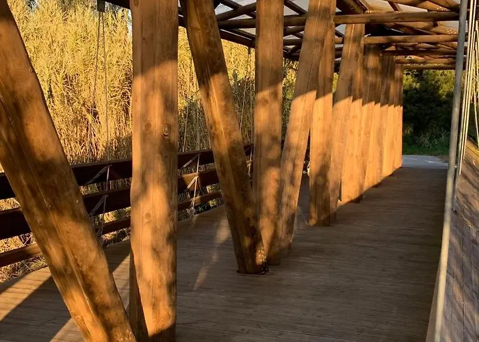 דירה Forest Terrace De Mira *