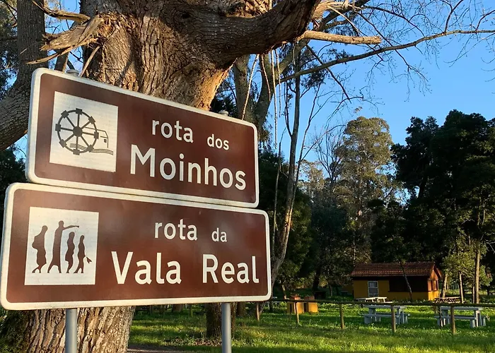 דירה Forest Terrace De Mira פראיה דה מירה