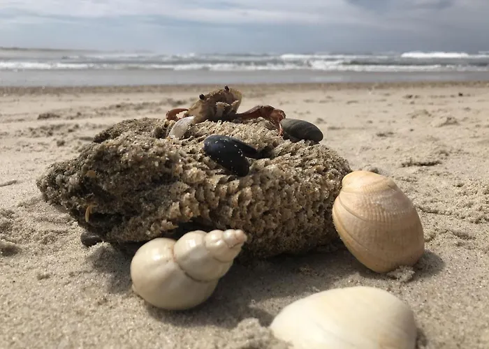 דירה Forest Terrace De Mira