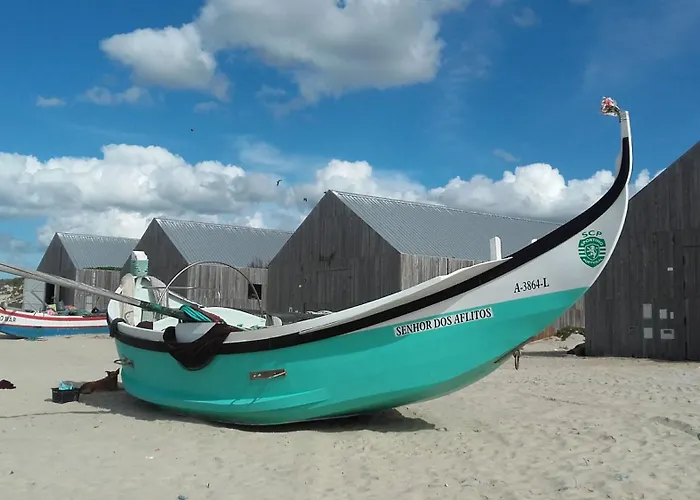 Forest Terrace De Mira דירה פראיה דה מירה