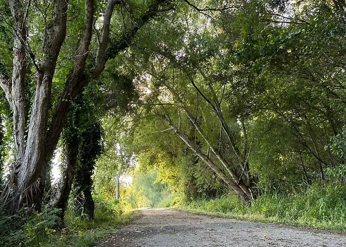 Forest Terrace De Mira דירה