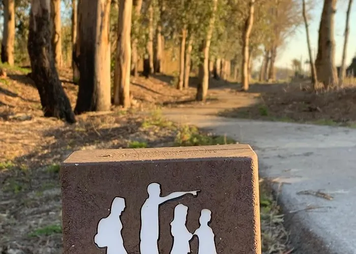 Forest Terrace De Mira *