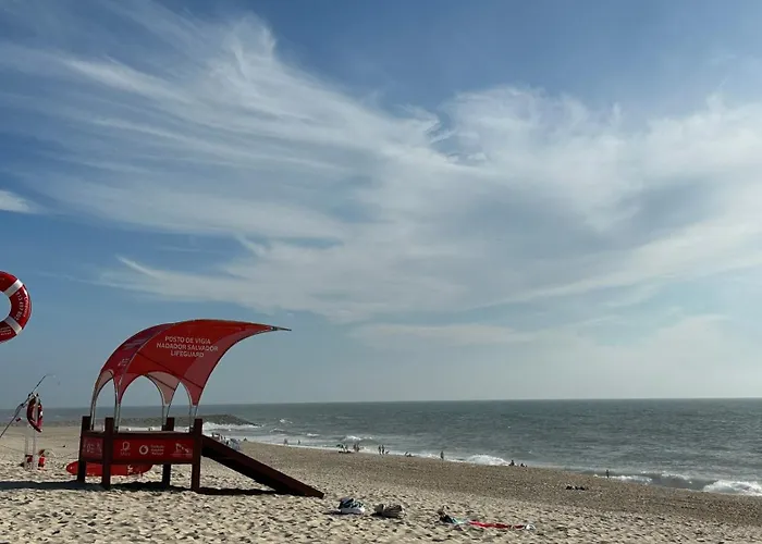 Forest Terrace De Mira דירה