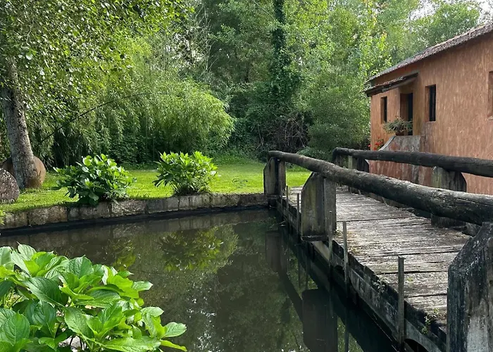 Forest Terrace De Mira דירה *