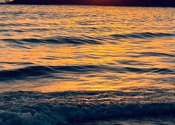 דירה Forest Terrace De Mira *